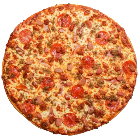 Carnivora